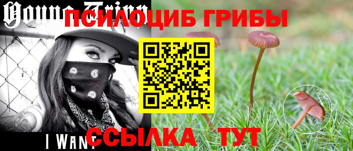 Фрязино  Галлюциногенные грибы Magic Shrooms  Вход с VPN  Псилоцибиновые грибы мухоморы 