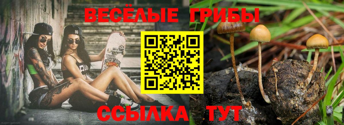 Галлюциногенные грибы мицелий Фрязино