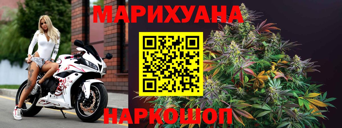 Канабис гибрид Фрязино